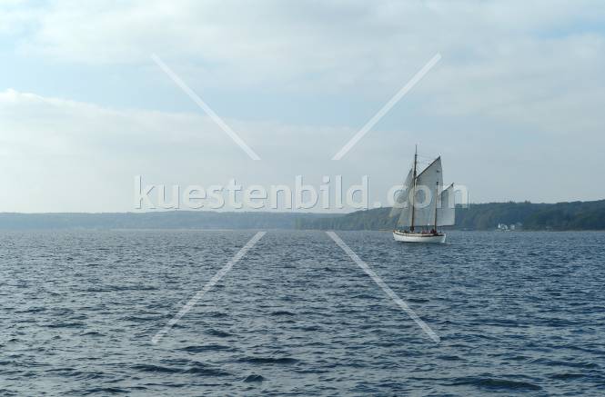Traditionssegler auf der Förde