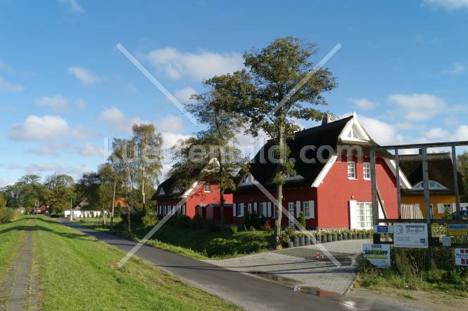 Deich mit Holzhäusern in Prerow