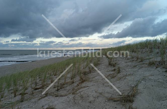 Strandhafer bei Prerow