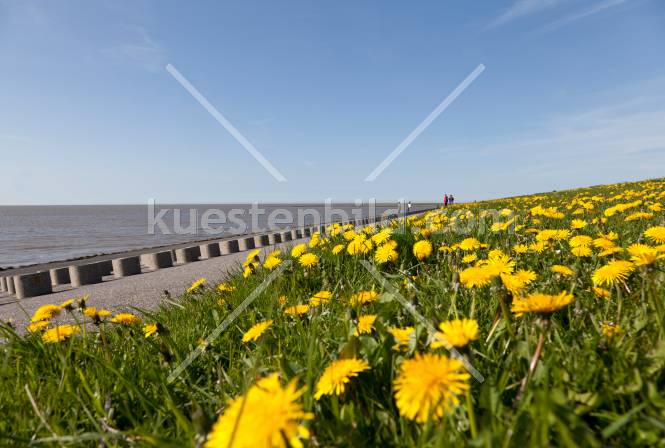 An der Deichkste
