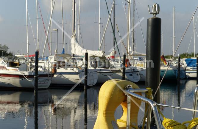 Holnis, Im Hafen