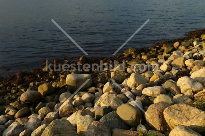 Förde, Steinbefestigung im Abendlicht