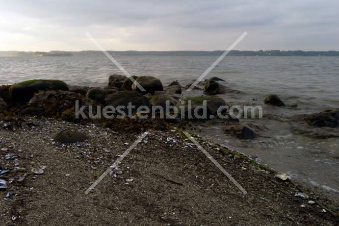 Förde, Muschelstrand mit Felsen