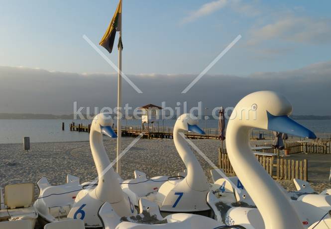 Am Strand in Glcksburg, Schwanenboote