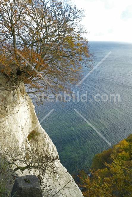 Kreidefelsen am Kaiserstuhl im Sonnenlicht 1
