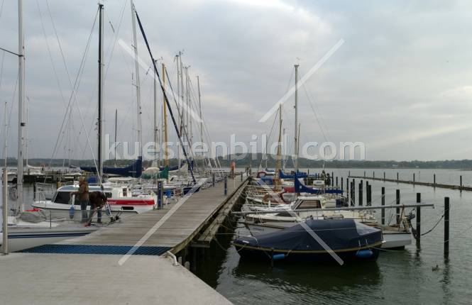 Bootssteg im Yachthafen Schleswig