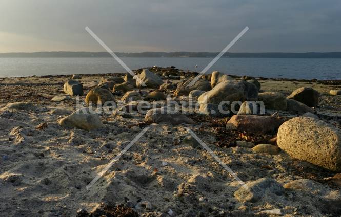 Förde, Steinufer in der Abendsonne