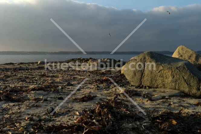 Frde Felsstrand im Abendlicht