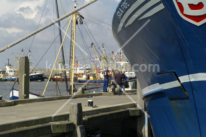 Fischereihafen, Austausch auf dem Kai