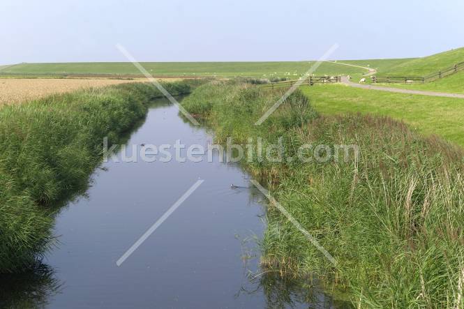 Graben im Deichvorland