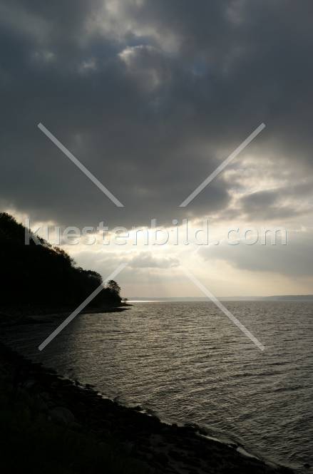 Förde, Ufer im Gegenlicht