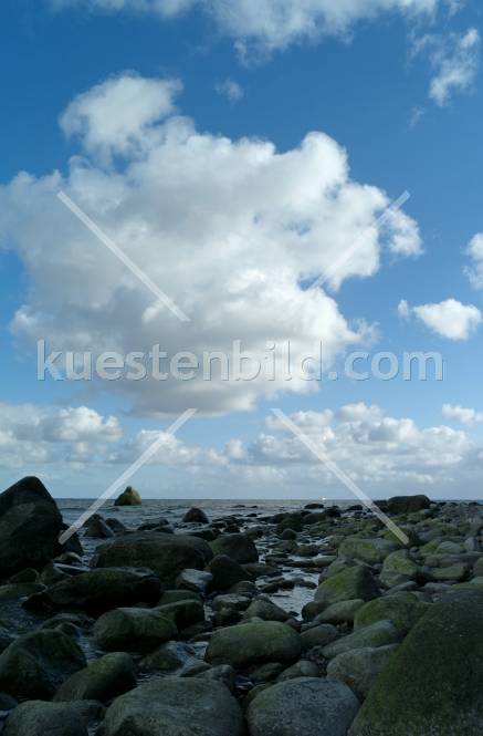 Kreidekste, Felsstrand  