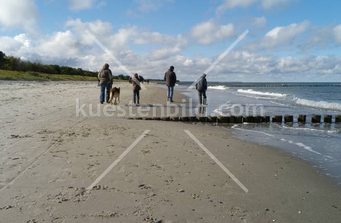Herbstwanderung am Strand bei Zingst