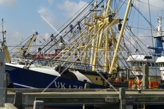 Fischereihafen, Trawlerflotte im Hafen