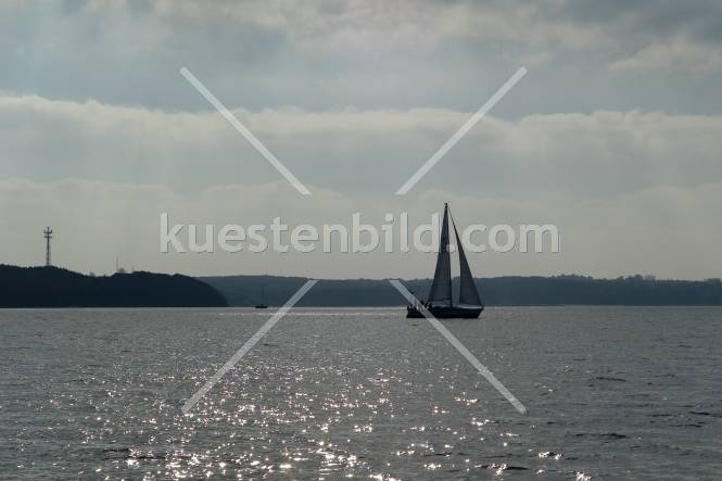 Förde, Segelboot im Gegenlicht