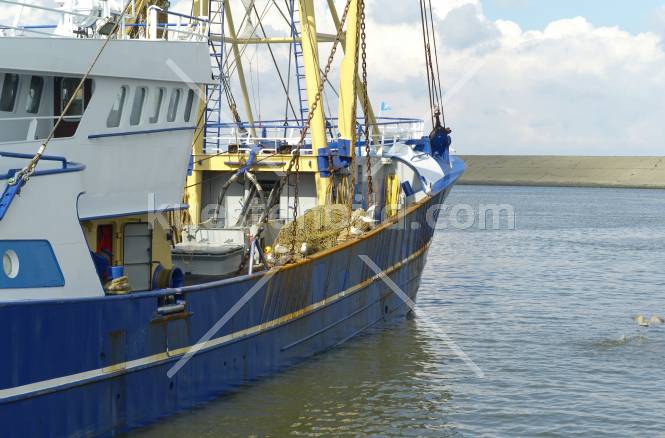Fischereihafen, Trawler