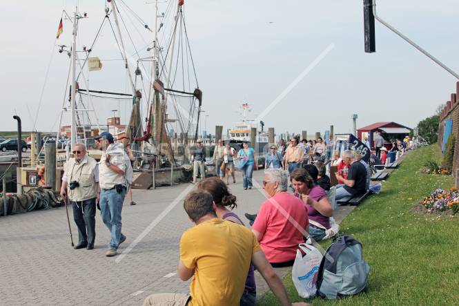 Hafenbesucher
