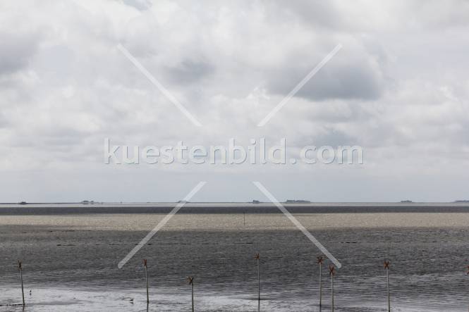 Halligen vor Dagebll