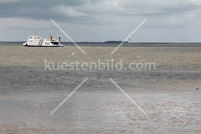 Fhre im Wattenmeer