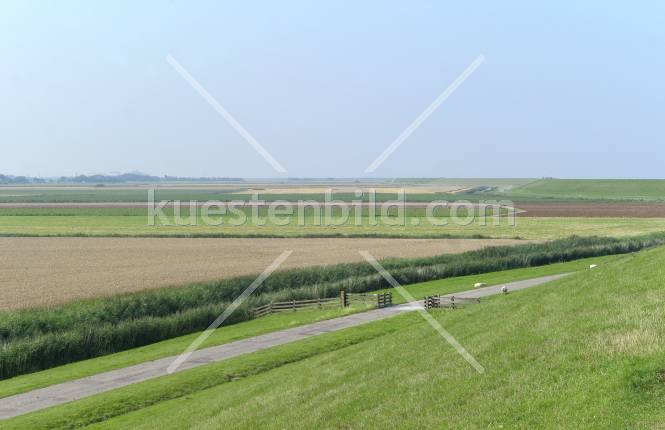 Deichvorland