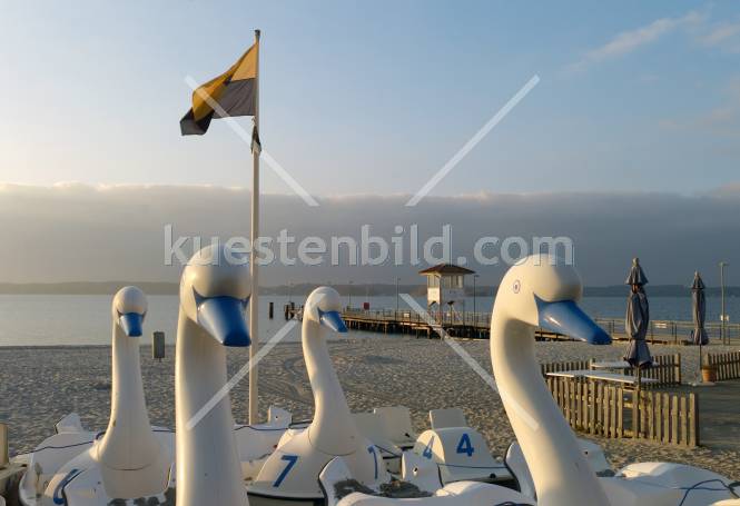 Glcksburg, die Schwne erobern den Strand