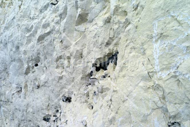 Kreidefelsen, Nahaufnahme Gestein