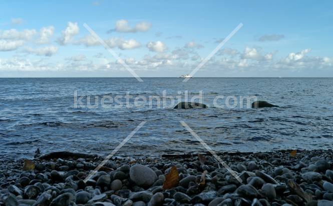 Kreidekste, Kiesstrand mit Fhre am Horizont