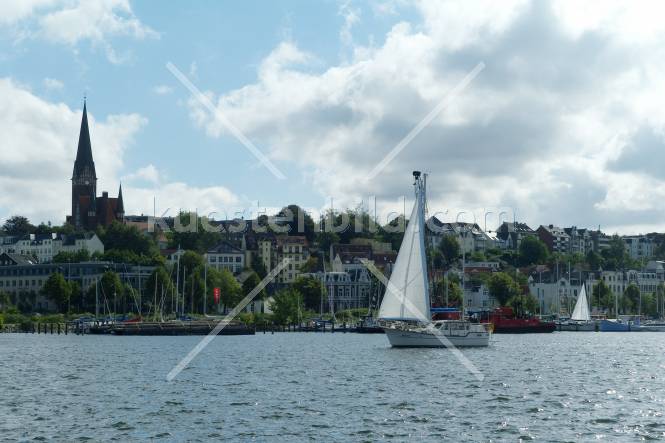 Motorsegler in der Förde