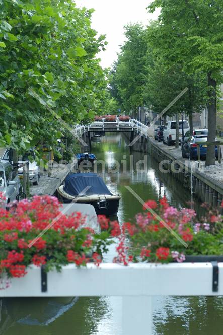 Gracht mit Blumenksten
