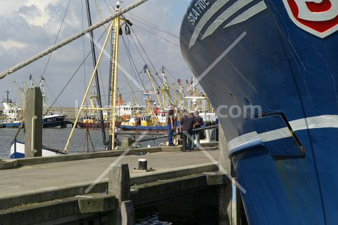 Fischereihafen, Hafenarbeiter auf dem Kai