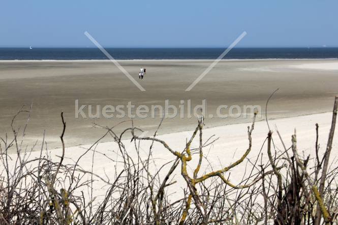 Strandblick 4