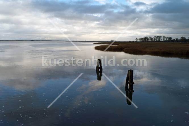 Am Barther Bodden