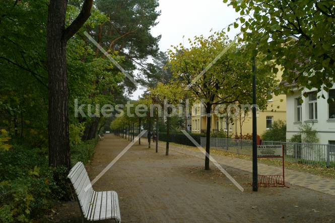 Herbstliche Promenade in Ahlbeck