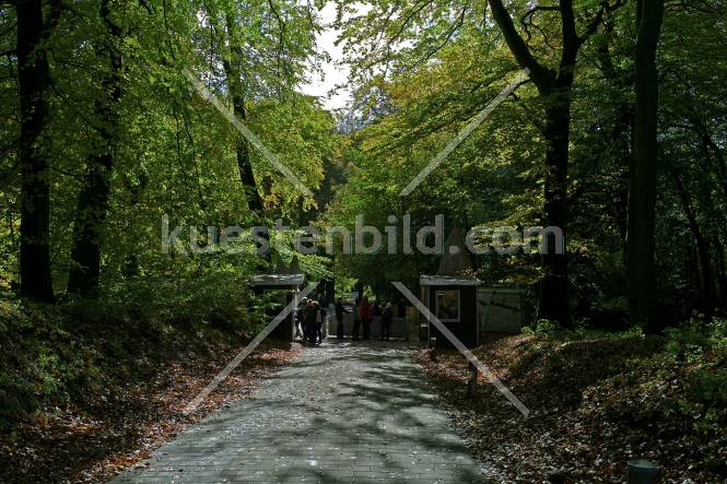 Kreidekste, Eingang zum Nationalparkzentrum Knigsstuhl